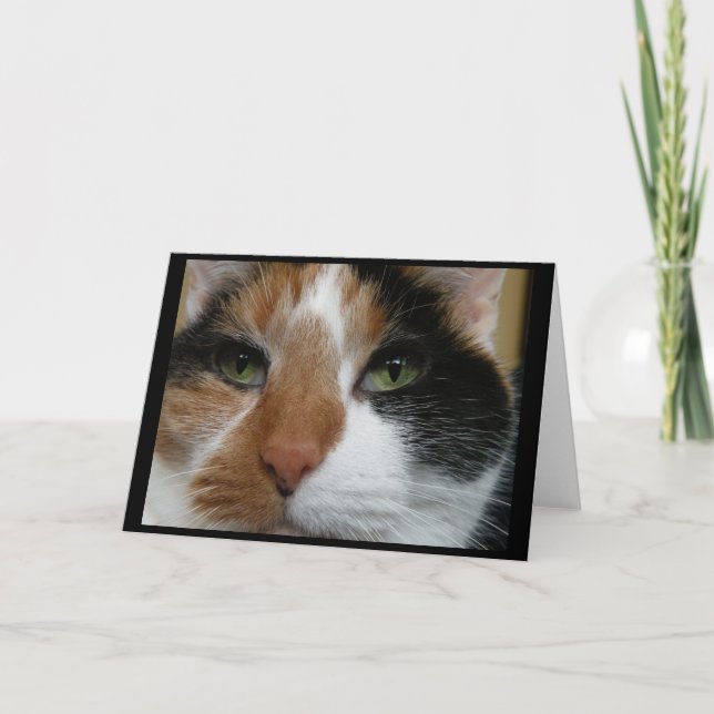 Tarjeta de saludo de gato Calico (Anverso)