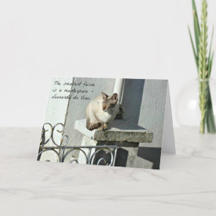 Tarjeta de saludo de gato con cotización