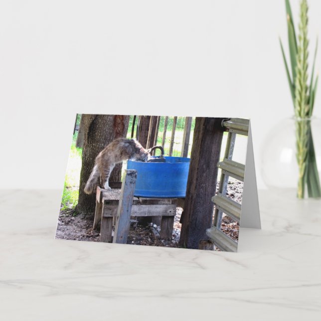 Tarjeta de saludo de gato de granja (Anverso)