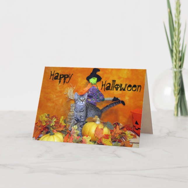 Tarjeta de saludo de gato de Halloween de Thumbeli (Anverso)