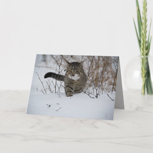 tarjeta de saludo de gato de invierno (Anverso)