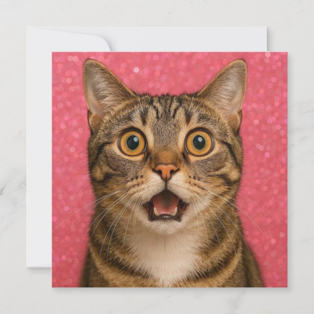 Tarjeta de saludo de gato sorprendido. (Anverso)