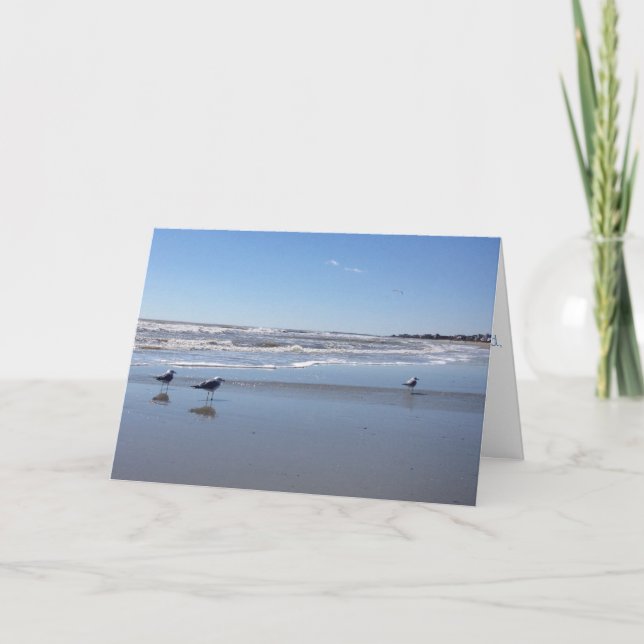 tarjeta de saludo de gaviota (Anverso)