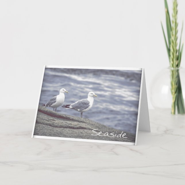 Tarjeta de saludo de Gaviotas de Mar (Anverso)