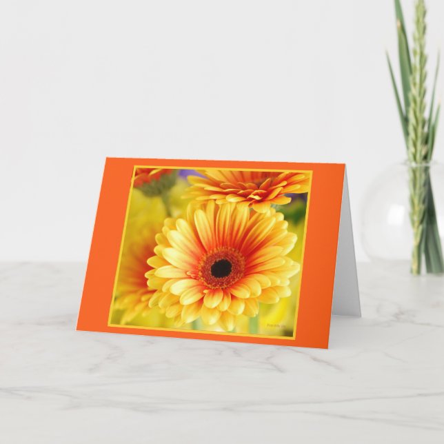 Tarjeta de saludo de Gerbera Daisy (Anverso)