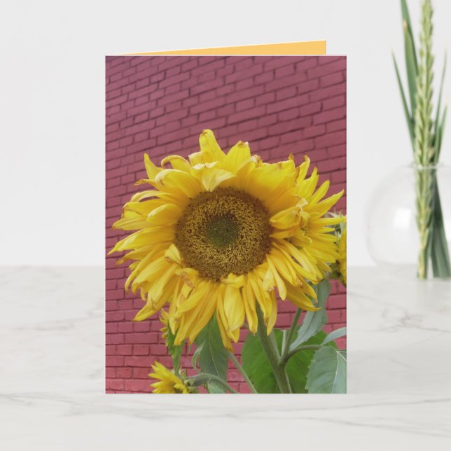 Tarjeta de saludo de girasol (Anverso)