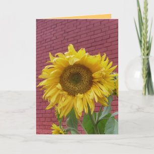 Tarjeta de saludo de girasol