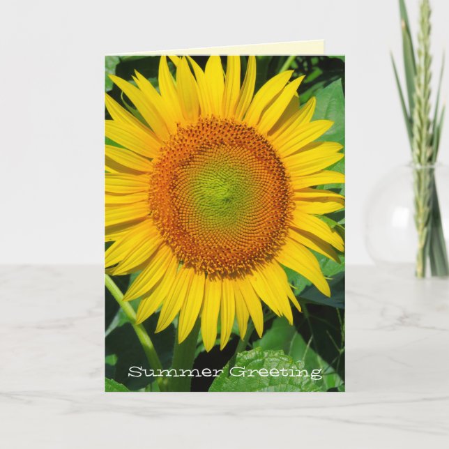 Tarjeta de saludo de girasol (Anverso)