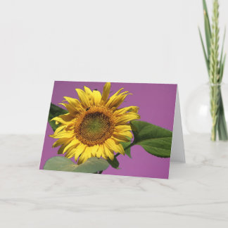 Tarjeta de saludo de girasol