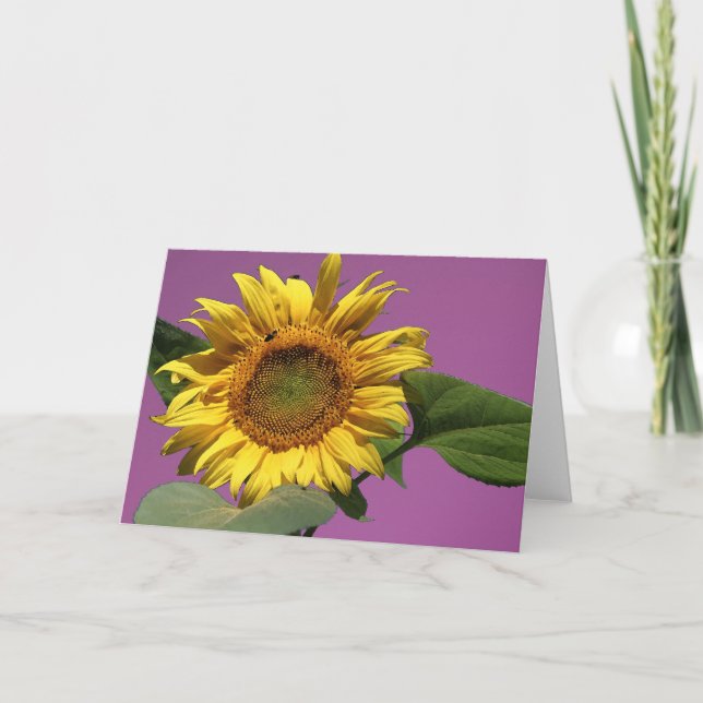Tarjeta de saludo de girasol (Anverso)