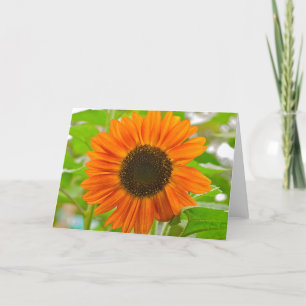 Tarjeta de saludo de girasol