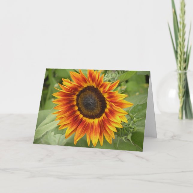 Tarjeta de saludo de girasol (Anverso)