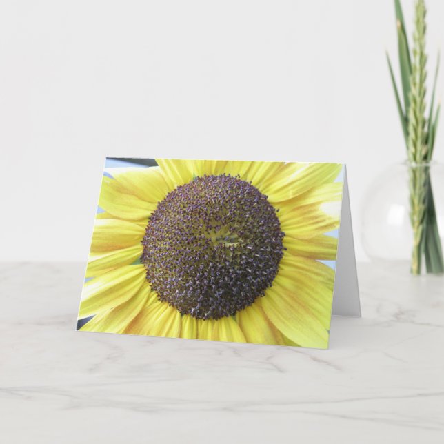 Tarjeta de saludo de girasol amarillo (Anverso)