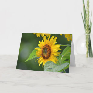 Tarjeta de saludo de girasol descarado