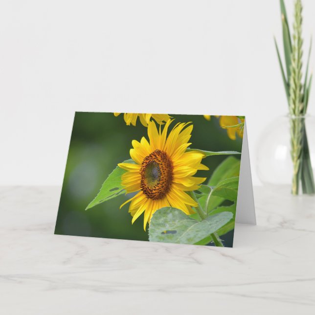 Tarjeta de saludo de girasol descarado (Anverso)