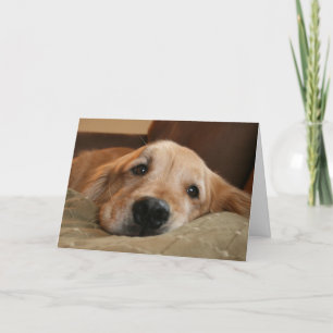 Tarjeta de saludo de Golden Retriever Miss You