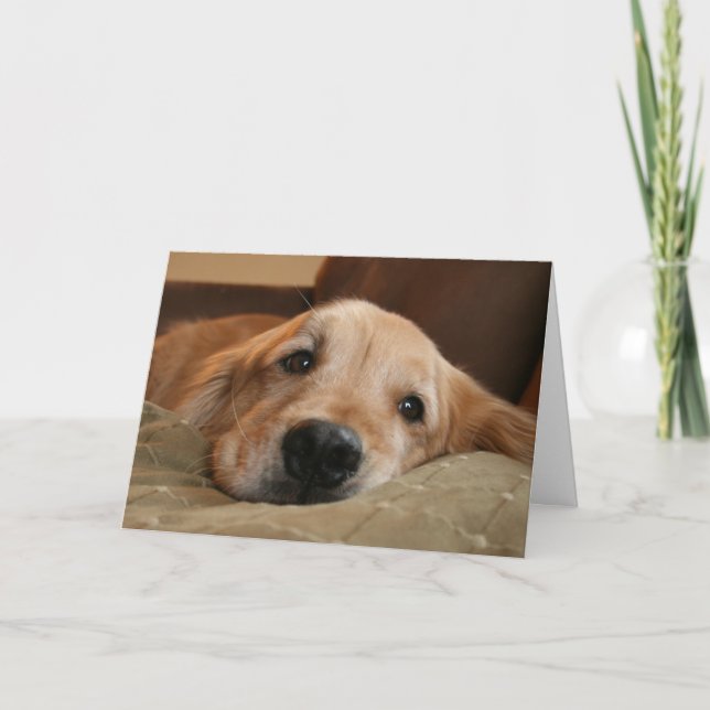 Tarjeta de saludo de Golden Retriever Miss You (Anverso)