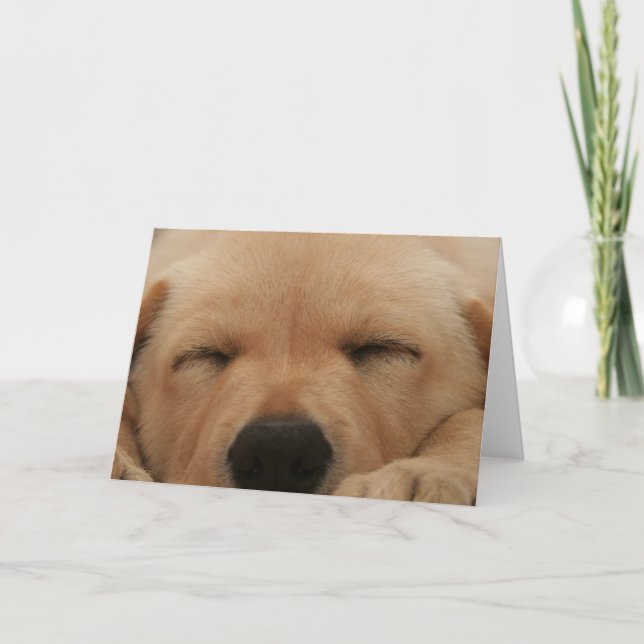 Tarjeta de saludo de Golden Retriever Sleeping (Anverso)