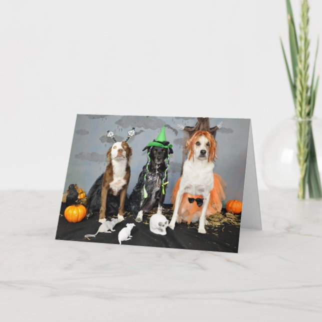 Tarjeta de saludo de Halloween. Foto, 3 perros arr (Anverso)