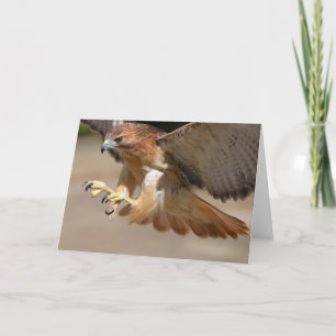 Tarjeta de saludo de Hawk