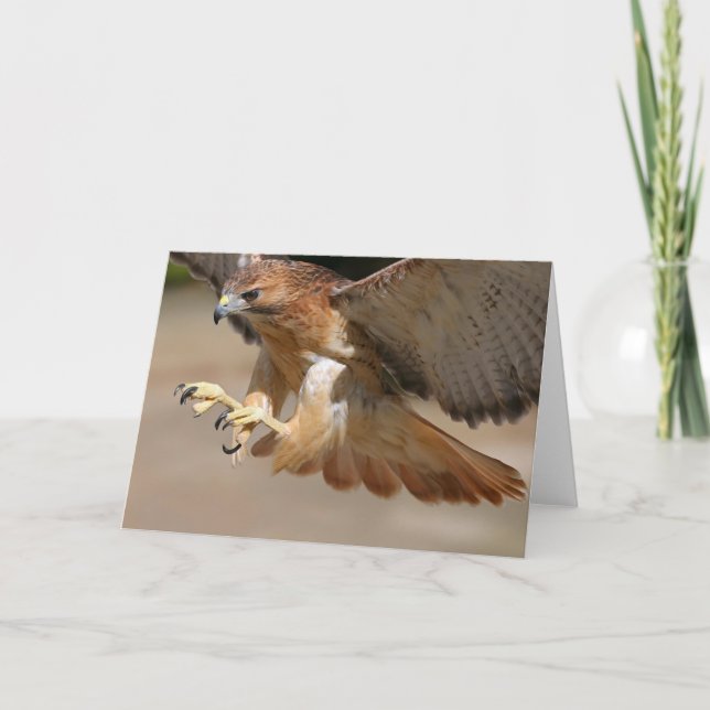 Tarjeta de saludo de Hawk (Anverso)