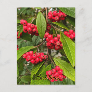 Tarjeta de saludo de hermosos frutos de otoño