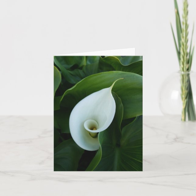 tarjeta de saludo de hojas verdes de calla blanca (Anverso)