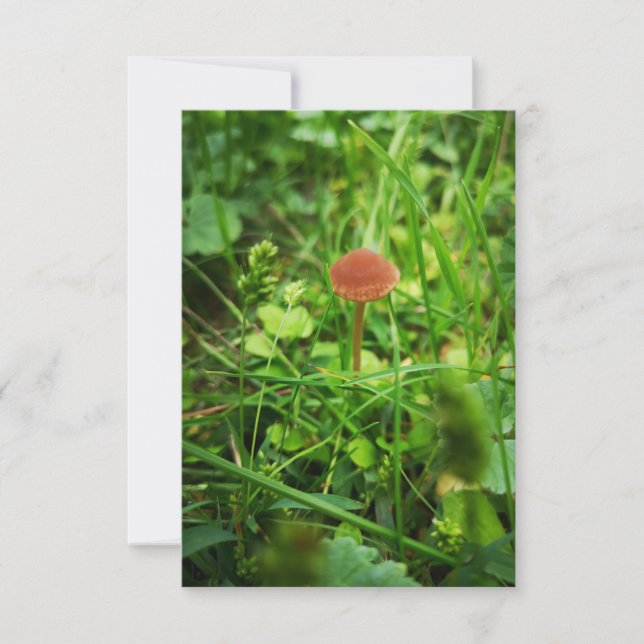 tarjeta de saludo de hongo (Anverso)