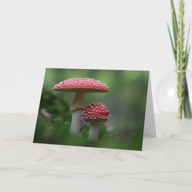 Tarjeta de saludo de hongos mágicos (Anverso)