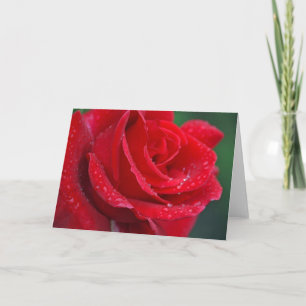 Tarjeta de saludo de impresión de rosa roja única