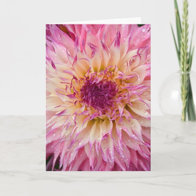 Tarjeta de saludo de impresión floral de dahlia ro (Anverso)