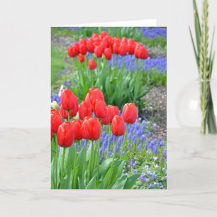 Tarjeta de saludo de impresión floral de tulipanes