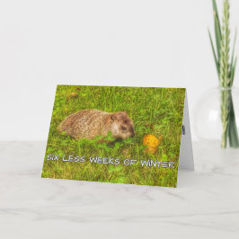 Tarjeta de saludo de invierno de seis semanas meno