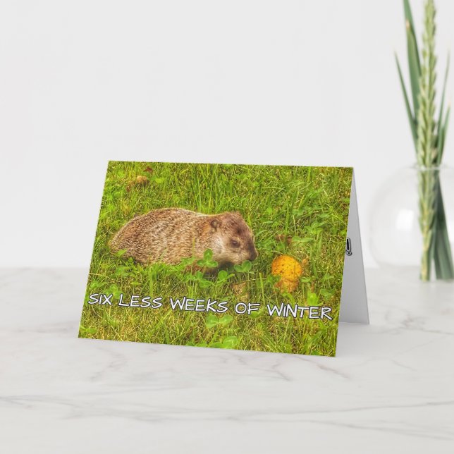 Tarjeta de saludo de invierno de seis semanas meno (Anverso)