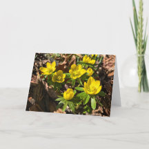 Tarjeta de saludo de invierno / primavera (interio