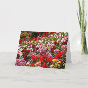 Tarjeta de saludo de jardín de rosa de primavera c