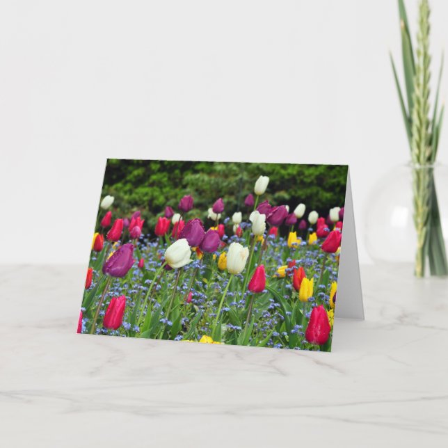 Tarjeta de saludo de jardín de tulipanes de primav (Anverso)