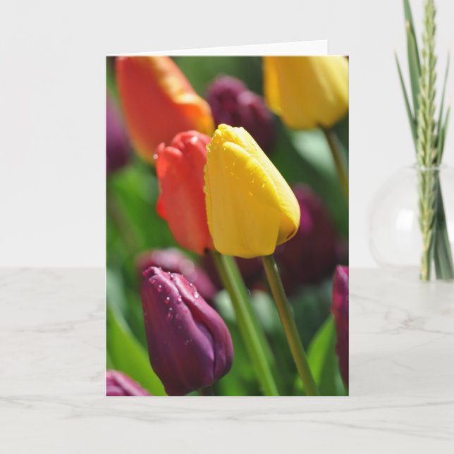 Tarjeta de saludo de jardín de tulipanes de primav (Anverso)