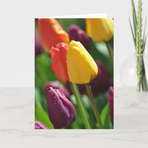 Tarjeta de saludo de jardín de tulipanes de primav