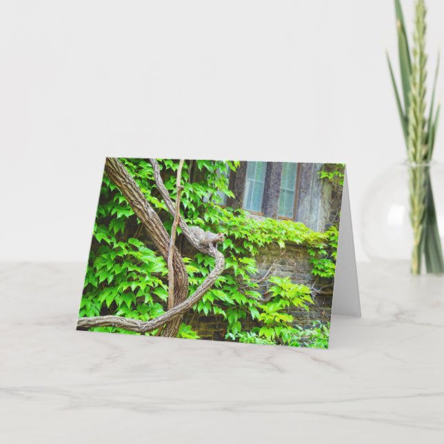 Tarjeta De Saludo De La Ardilla Y La Vina En Blanc (Anverso)