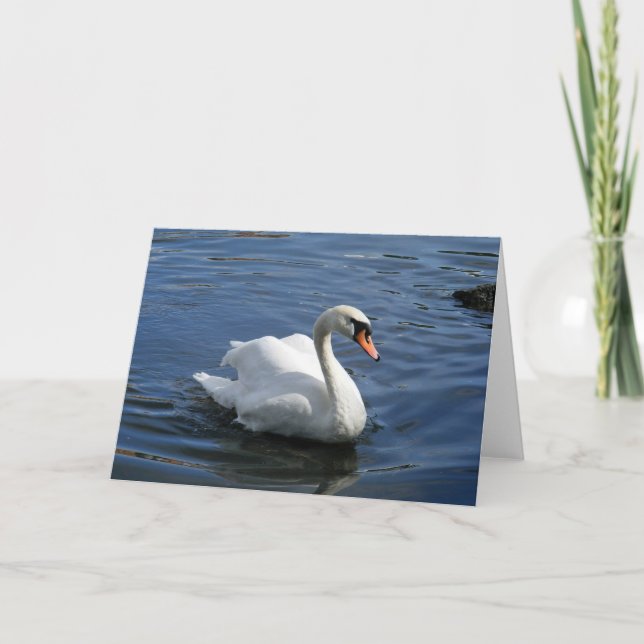 Tarjeta de saludo de la familia Mute Swan (Anverso)