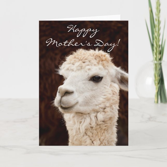 Tarjeta de saludo de la llama del Día de la Madre  (Anverso)
