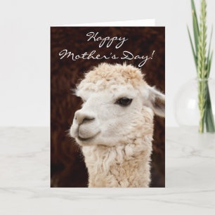 Tarjeta de saludo de la llama del Día de la Madre 