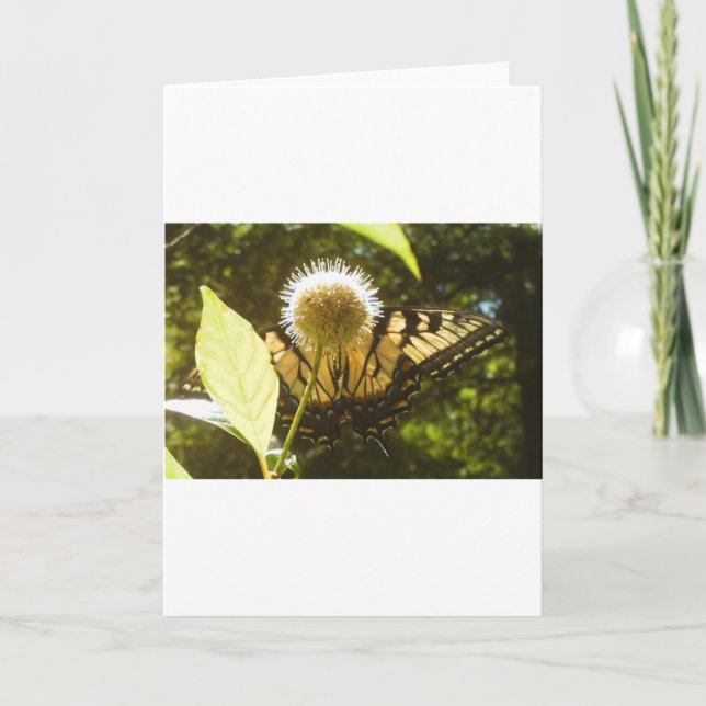 Tarjeta de saludo de la monarca de junio (Anverso)