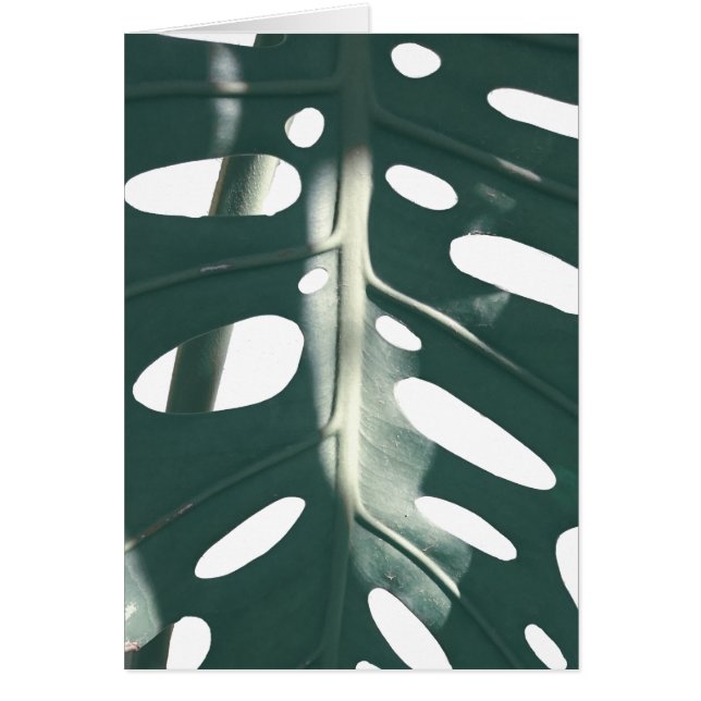 Tarjeta de saludo de la planta de queso suiza Past (Frente)