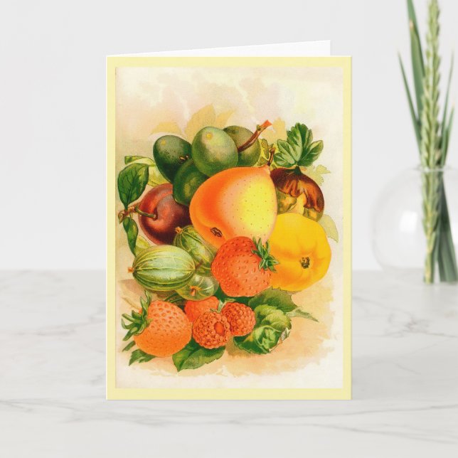 Tarjeta de saludo de la tapa del Catálogo de Semil (Anverso)