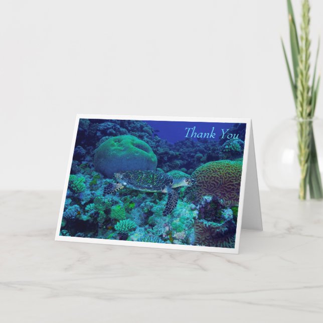 Tarjeta de saludo de la tortuga marina Hawksbill (Anverso)