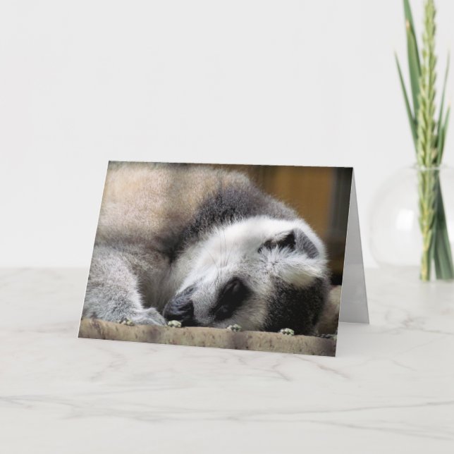 Tarjeta de saludo de Lemur durmiente (Anverso)