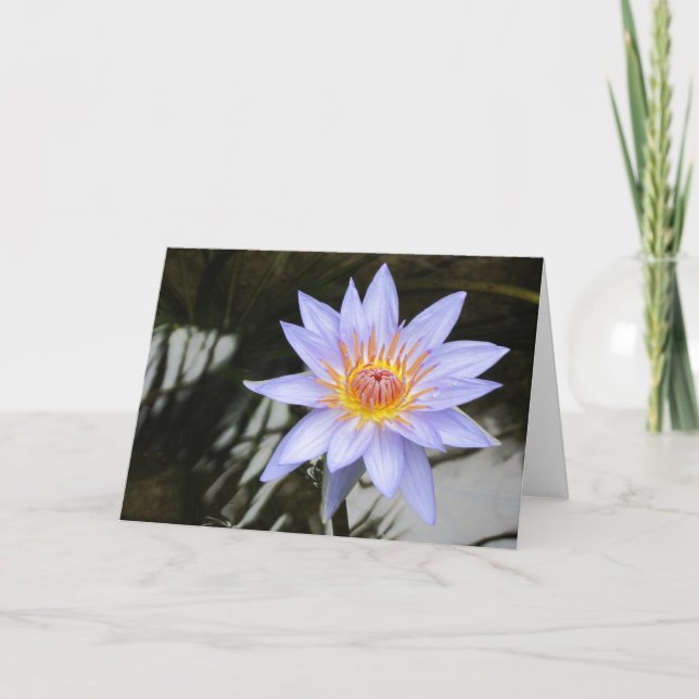Tarjeta de saludo de Lily Purple Water Lily (Anverso)