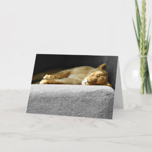 Tarjeta de saludo de Lioness Sleeping